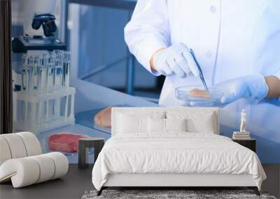 Scientist holding Petri dish with meat sample over table in laboratory Wall mural