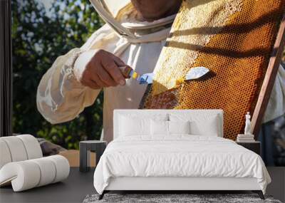 Senior beekeeper uncapping honeycomb frame with knife at table outdoors, closeup Wall mural