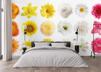 Set of different beautiful flowers on white background. Banner design Wall mural