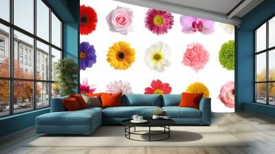 Set of different beautiful flowers on white background Wall mural