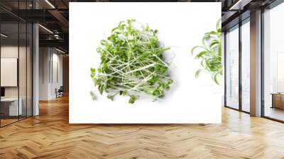 Set of different fresh microgreens on white background, top view. Banner design Wall mural