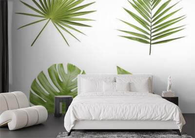 Set of different fresh tropical leaves on white background Wall mural