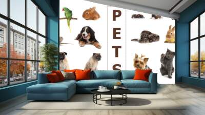 Set of different pets on white background. Banner design Wall mural