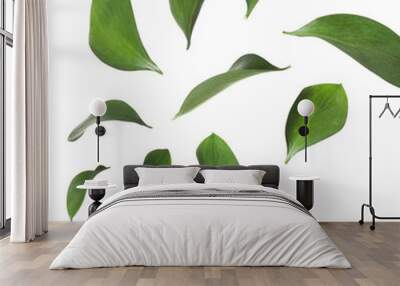 Set of falling green fresh leaves on white background Wall mural