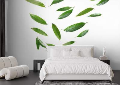 Set of flying green mango leaves on white background Wall mural