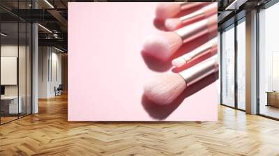 Set of professional makeup brushes on color background. Space for text Wall mural