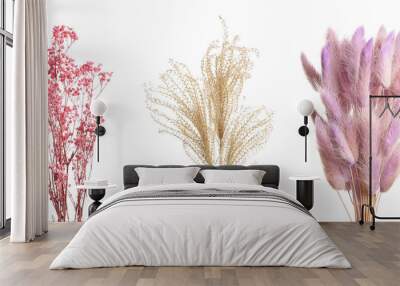 Set with beautiful decorative dry flowers on white background, banner design Wall mural