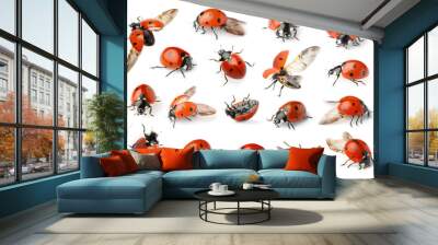 Set with beautiful ladybugs on white background Wall mural