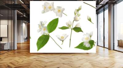 Set with beautiful tender jasmine flowers and green leaves on white background. Banner design Wall mural