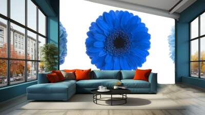 Set with different beautiful blue flowers on white background. Banner design Wall mural