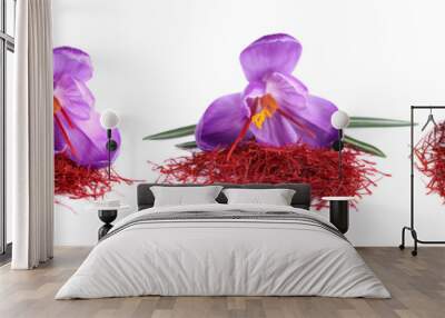 Set with dried saffron and crocus flowers on white background. Banner design Wall mural