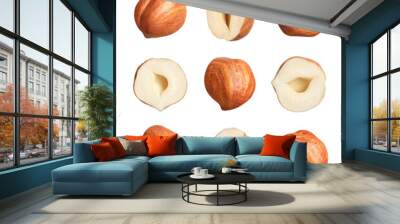 Set with tasty hazelnuts on white background Wall mural