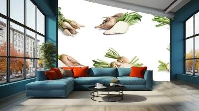 Set with whole and cut sugar beets on white background. Banner design Wall mural