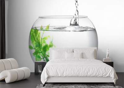 Splash of water in round fish bowl with decorative plant and pebbles on white background Wall mural