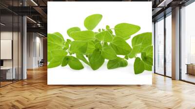 Sprig of fresh green oregano isolated on white Wall mural