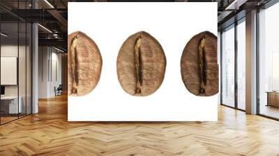 Stages of roasting coffee beans on white background, collage. Banner design Wall mural