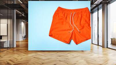 Stylish male swim trunks on color background, top view with space for text. Beach object Wall mural