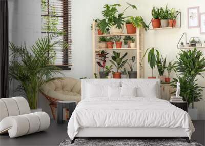 Stylish room interior with different home plants Wall mural