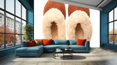 Stylish soft slippers on white background, top view Wall mural