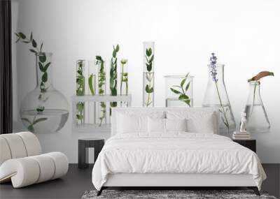 Test tubes and other laboratory glassware with different plants on white background Wall mural