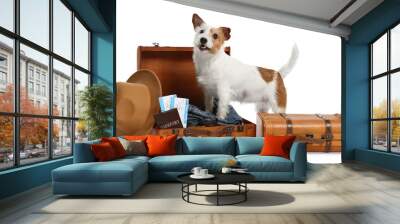 Travel with pet. Dog, clothes and suitcases on white background Wall mural