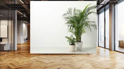 Tropical plants with lush leaves on floor near white wall. Space for text Wall mural