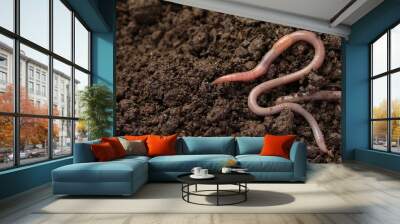 Two earthworms on wet soil. Space for text Wall mural