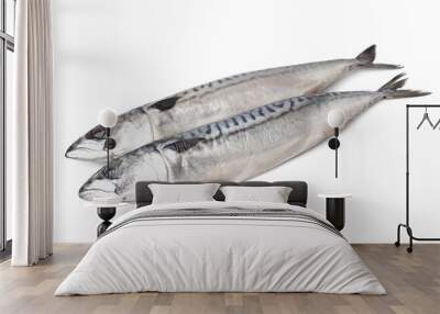 Two tasty salted mackerels on white background Wall mural