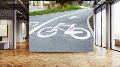 Two way bicycle lane with white markings on asphalt in city Wall mural