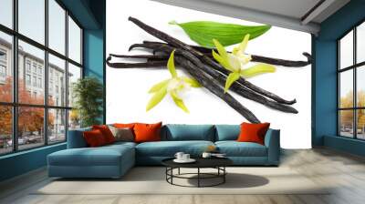 Vanilla pods, beautiful flowers and green leaf isolated on white Wall mural