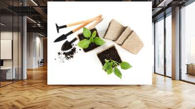 Vegetable seedlings and garden tools isolated on white, top view Wall mural