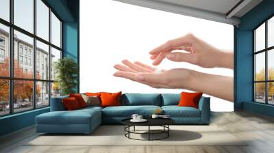 Woman applying hand cream on white background, closeup Wall mural