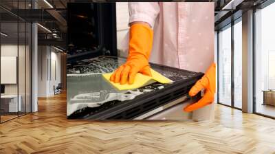 Woman cleaning oven door with rag, closeup Wall mural