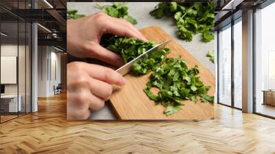 Woman cutting fresh green cilantro at light grey table, closeup Wall mural