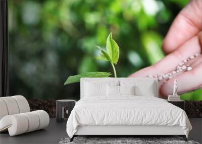 Woman fertilizing plant in soil against blurred background, closeup with space for text. Gardening time Wall mural