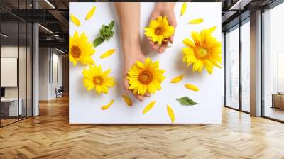 Woman holding beautiful sunflowers on white background, top view Wall mural