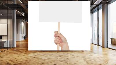 Woman holding blank protest sign on white background, closeup Wall mural