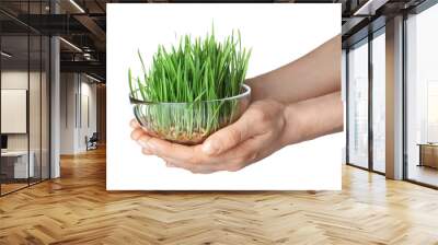 Woman holding bowl of sprouted wheat grass isolated on white, closeup Wall mural