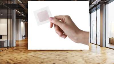 Woman holding medical adhesive bandage isolated on white, closeup Wall mural