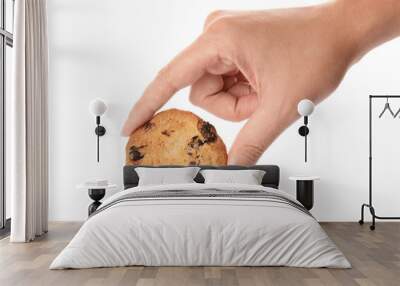 Woman holding tasty chocolate chip cookie on white background, closeup Wall mural