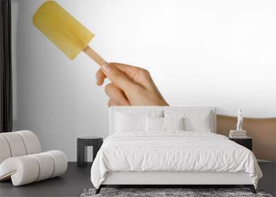 Woman holding tasty fruit ice pop on white background, closeup Wall mural