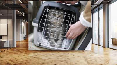 Woman putting carrier with cute Scottish fold cat into car, closeup Wall mural