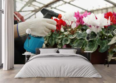 Woman taking care of blooming flowers in greenhouse, closeup. Home gardening Wall mural