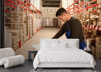 Worker wrapping boxes in stretch film at warehouse Wall mural