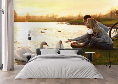 Young couple near lake with swans at sunset. Perfect place for picnic Wall mural