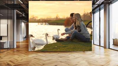 Young couple near lake with swans at sunset. Perfect place for picnic Wall mural