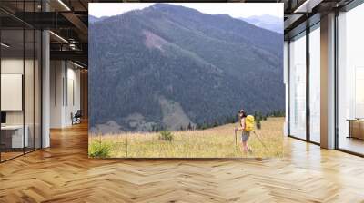 Young hiker with backpack and trekking poles in mountains, space for text Wall mural