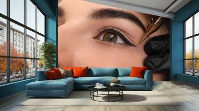 Young woman undergoing procedure of permanent eye makeup in tattoo salon, closeup Wall mural