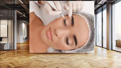 Young woman undergoing procedure of permanent eye makeup in tattoo salon Wall mural