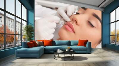 Young woman undergoing procedure of permanent lip makeup in tattoo salon, closeup Wall mural